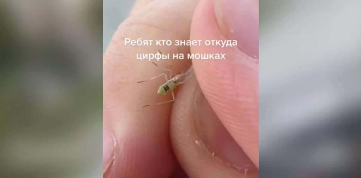 фото: ашық дереккөз