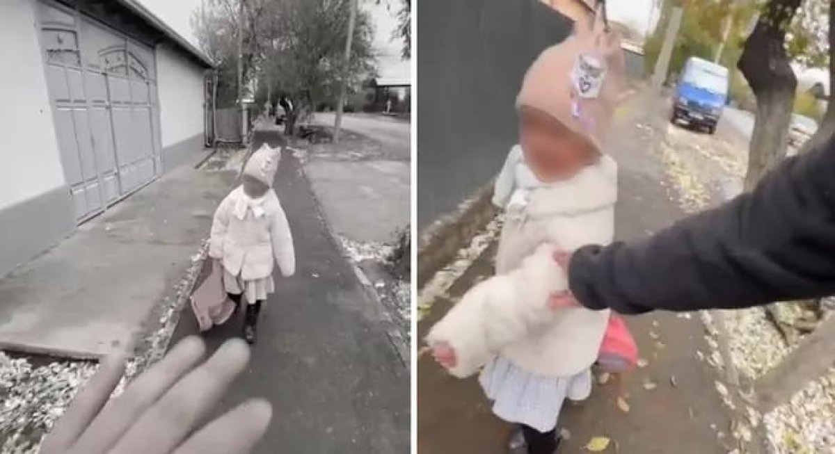 Фото: видеодан скриншот