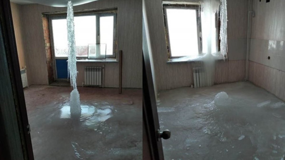 Фото: ашық дереккөз