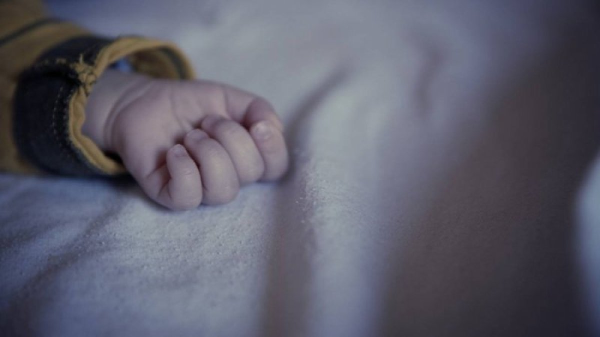 Фото: ашық дереккөз
