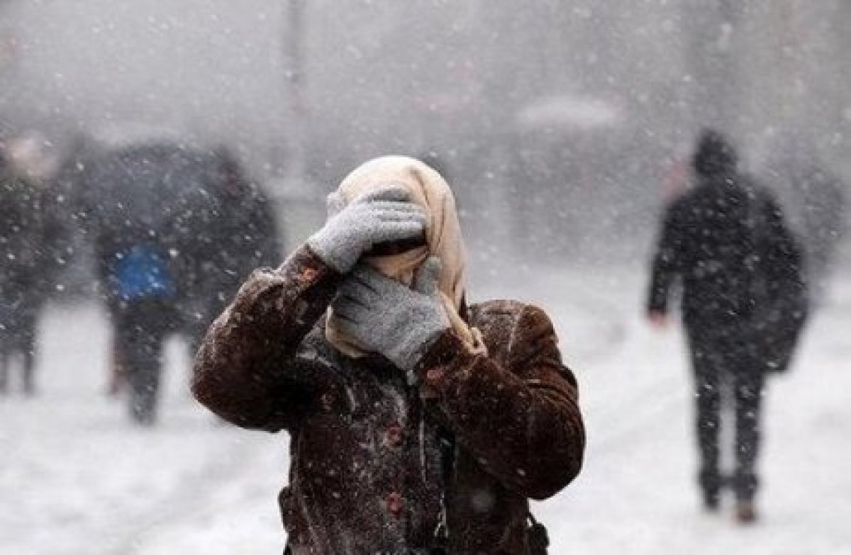 Фото: ашық дереккөзден