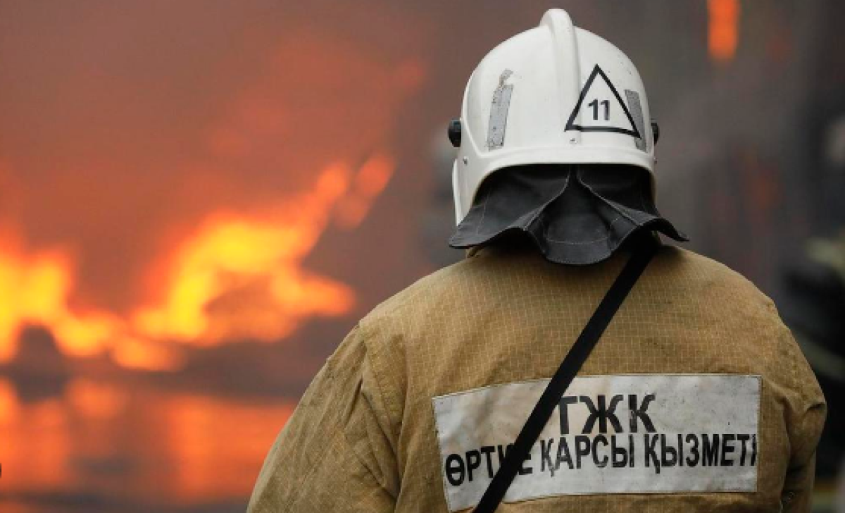 Фото: ашық дереккөз