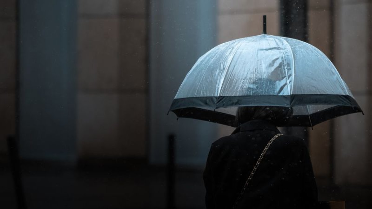 Фото: unsplash