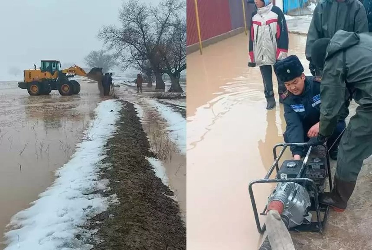 Фото: ашық дереккөз