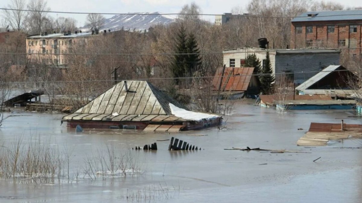 Фото: sputnik.kz