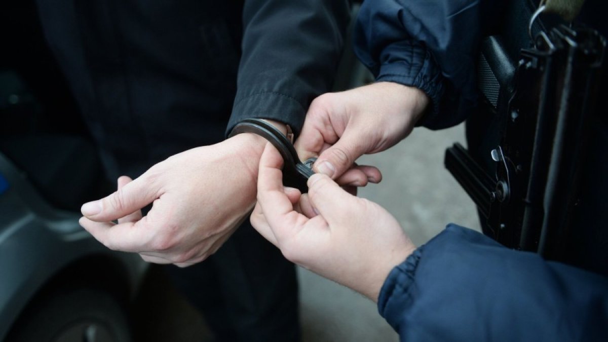Фото: ©Sputnik/Кирилл Каллиников