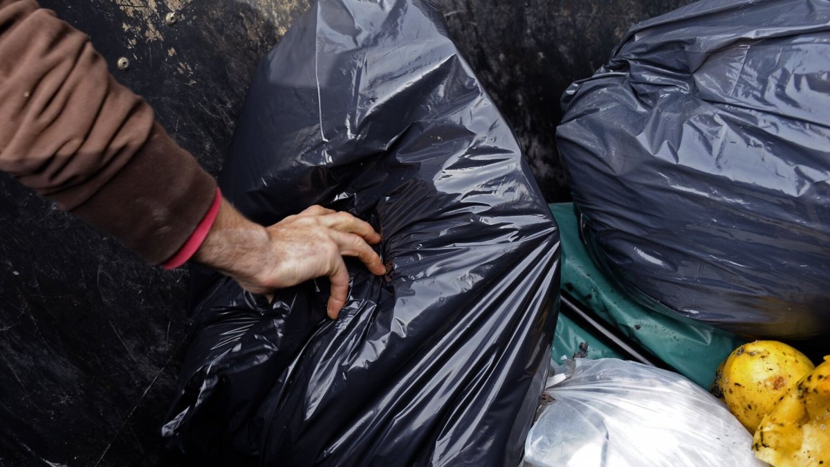 Фото: © AFP 2023 / ALEJANDRO PAGNI