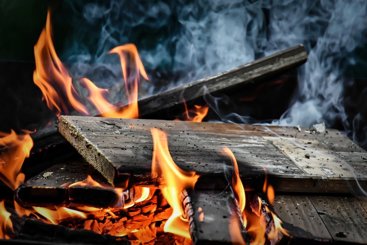 Фото: Pixabay