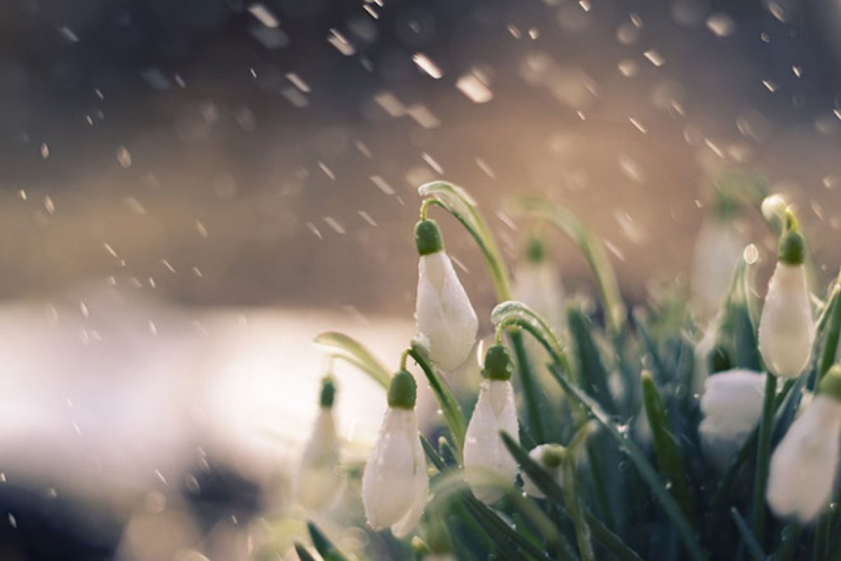 Фото: pixabay.com
