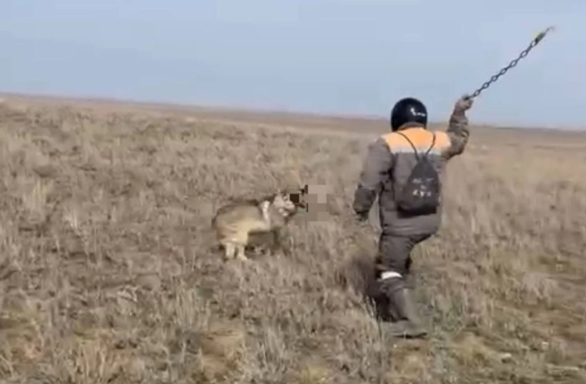 Фото: видео скрині