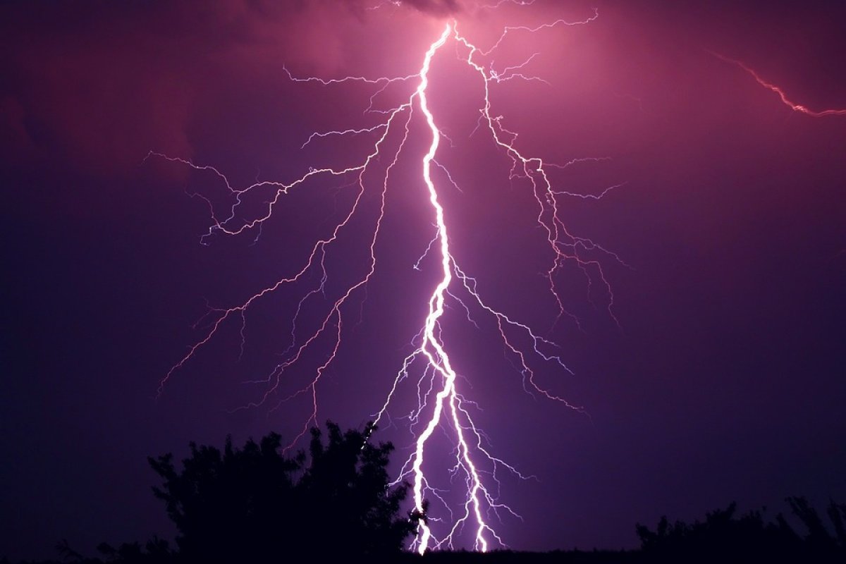 Фото: pixabay.com