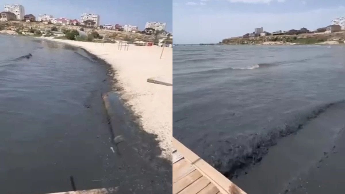 Фото: видеодан алынған кадр