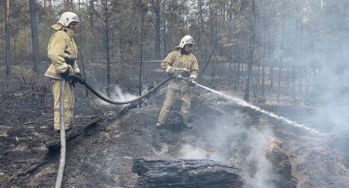 Фото: ТЖМ баспасөз қызметі