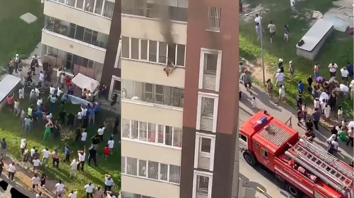 Фото: видеодан скриншот