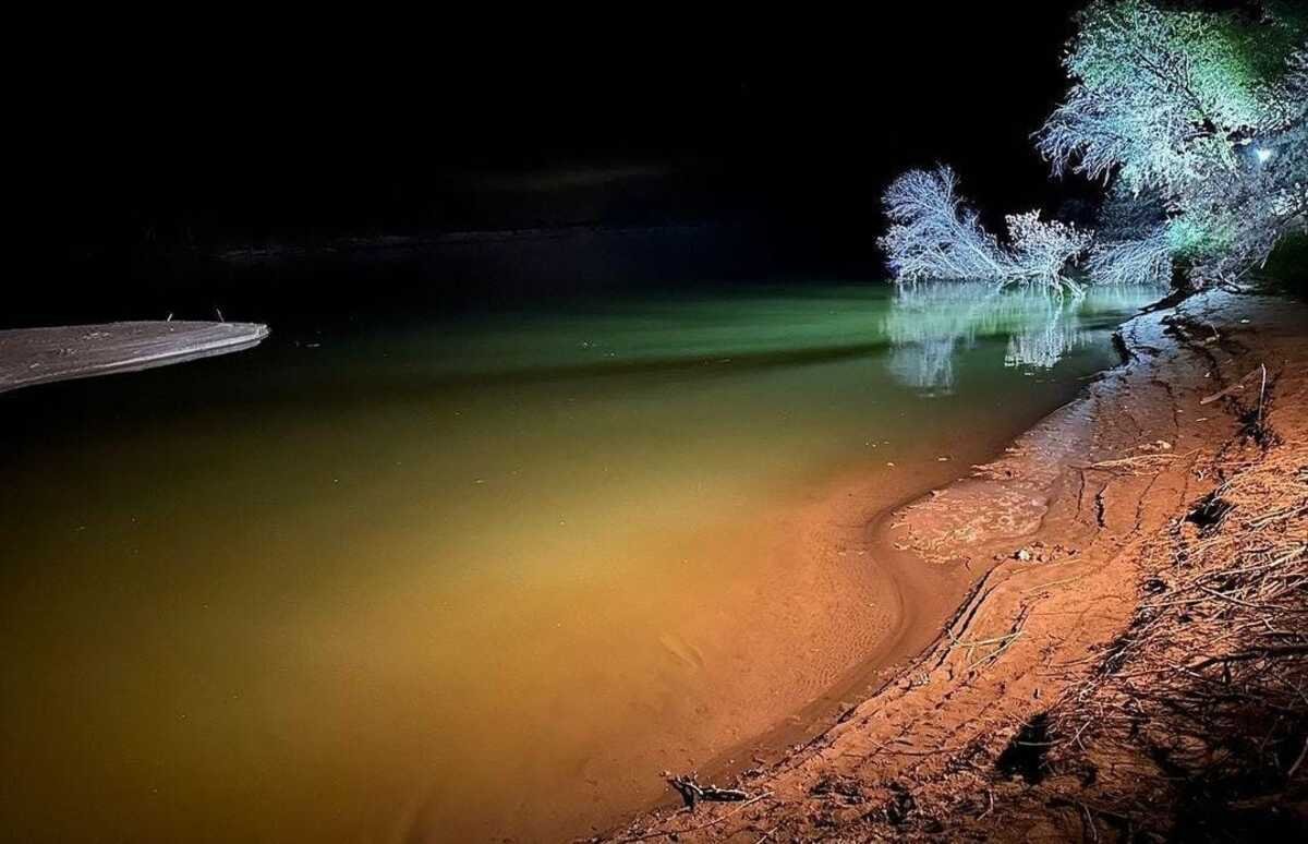 Фото: Түркістан облысы әкімдігі