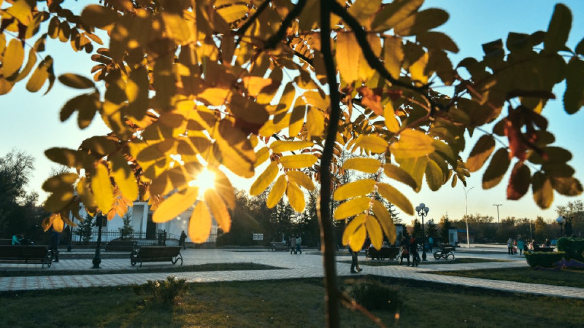 Фото: tengrinews.kz