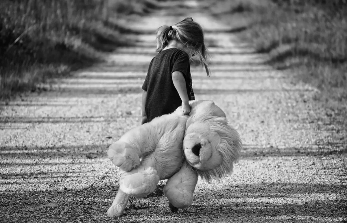 Фото: Pixabay