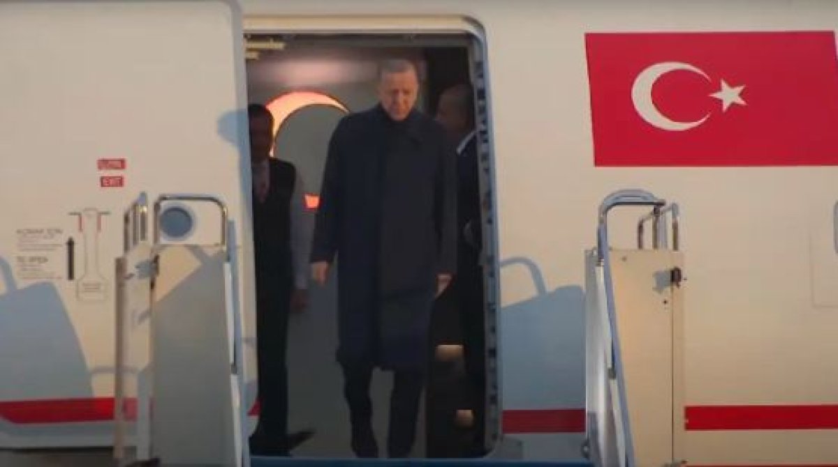 Фото: Видеодан кадр