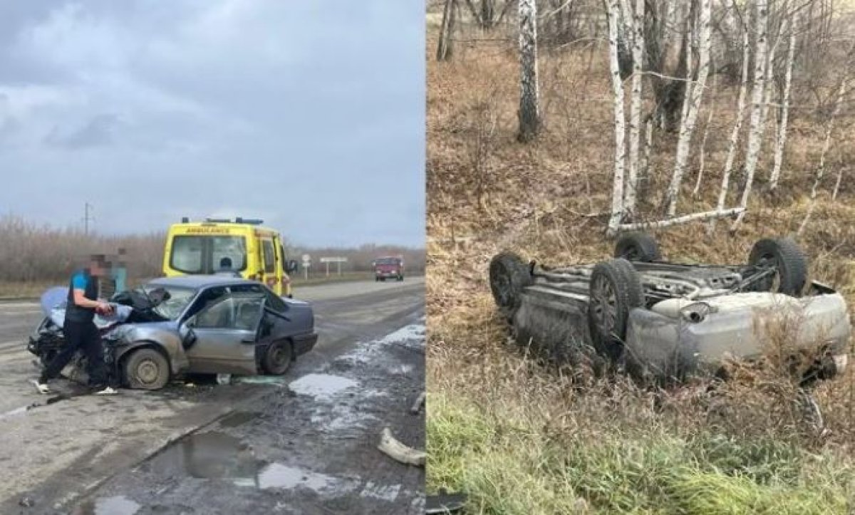 Фото: СҚО полиция департаменті баспасөз қызметі
