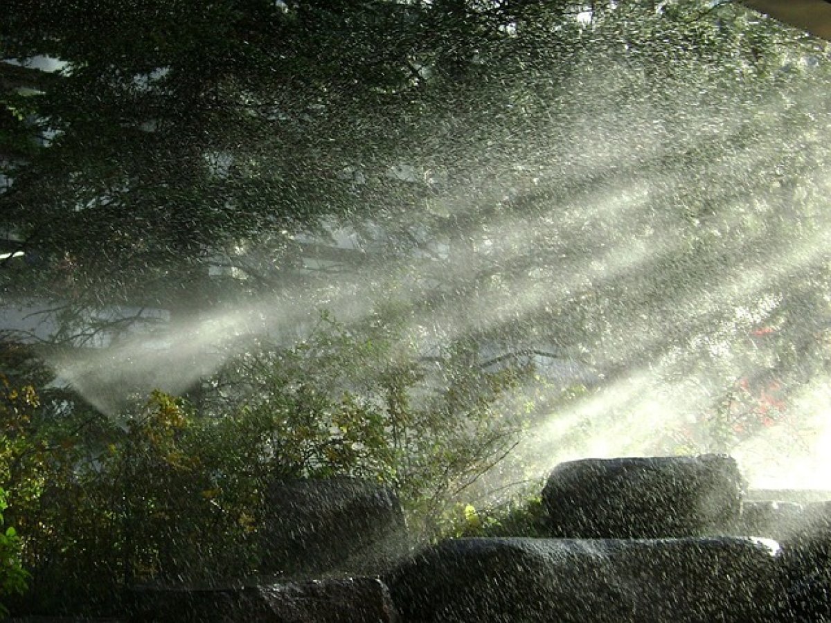 Фото: pixabay.com