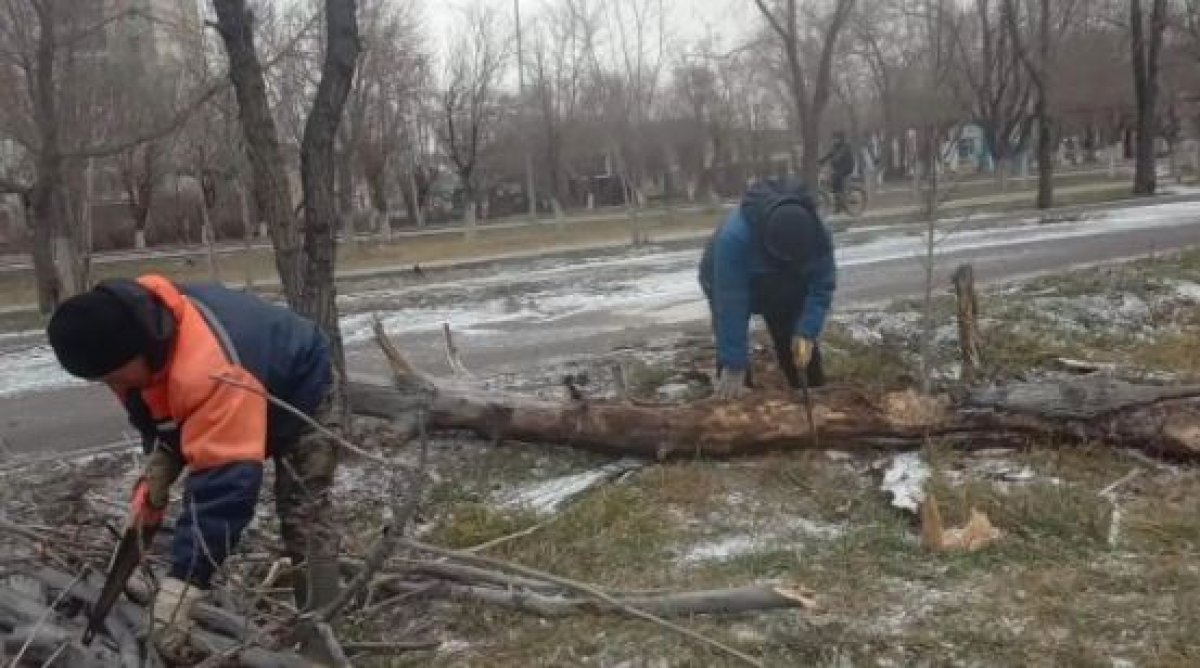 Фото: Қарағанды облысы әкімдігі