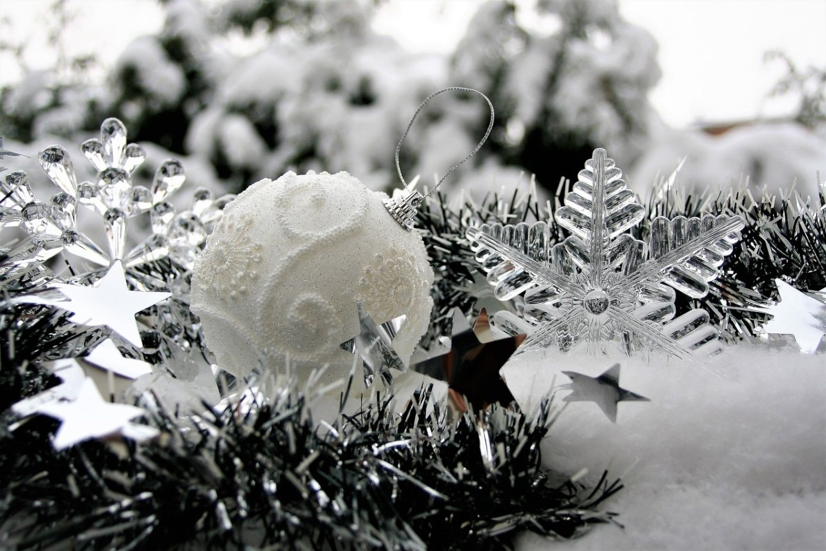 Фото: Pixabay