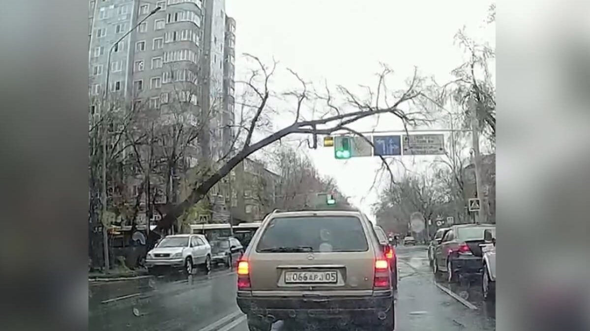 Фото: видеодан алынған кдр