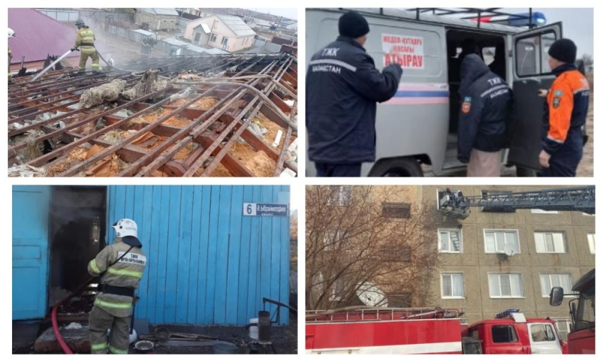 Фото: ТЖМ
