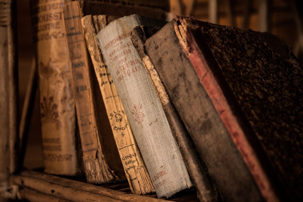 Фото: Pixabay