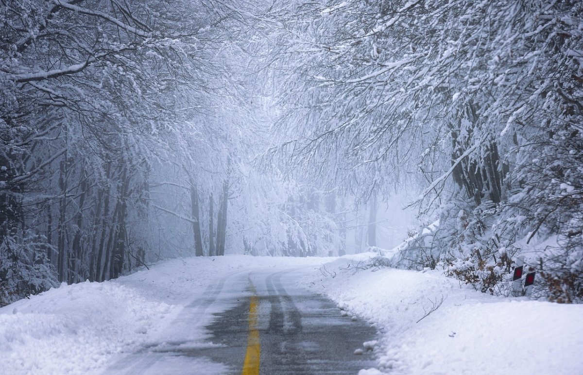 Фото: pixabay.com