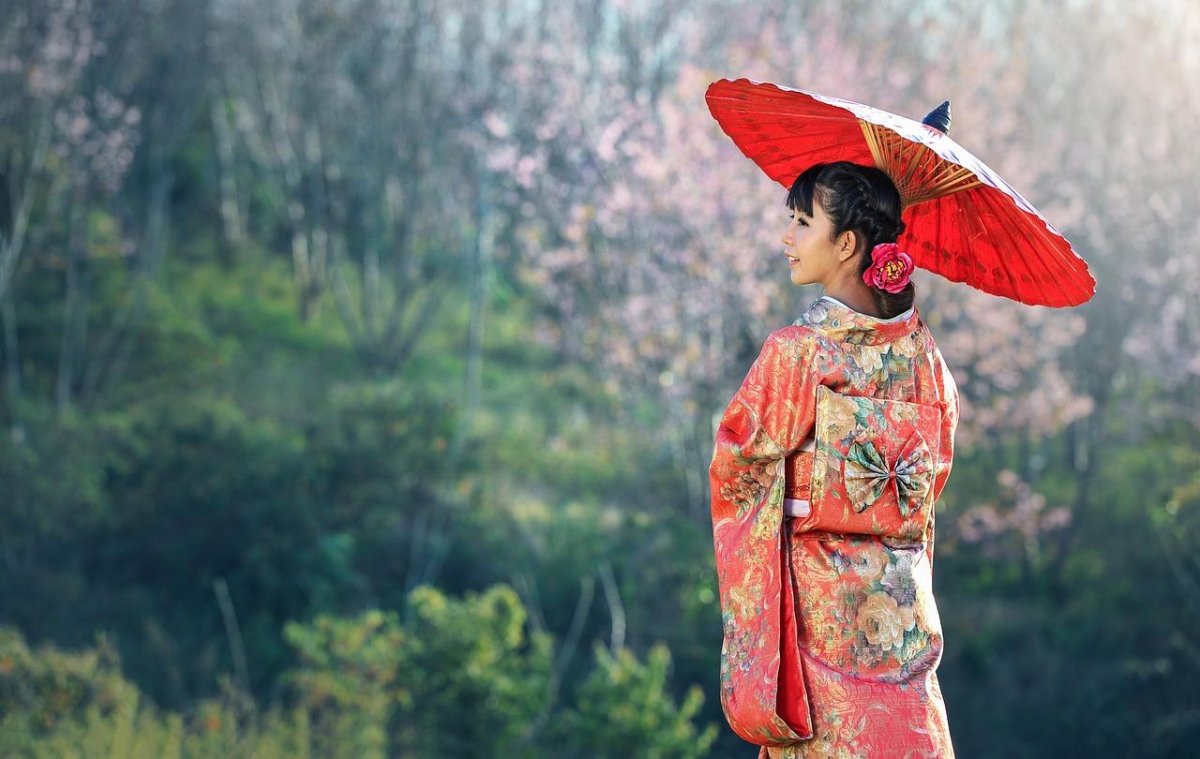 Фото: Pixabay