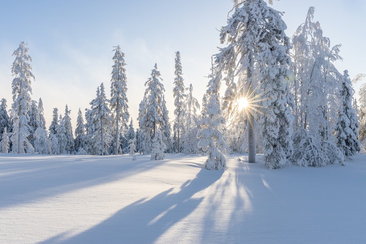 Фото: pixabay.com