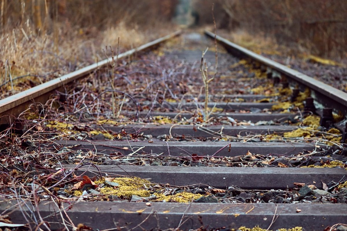 Фото: Pixabay
