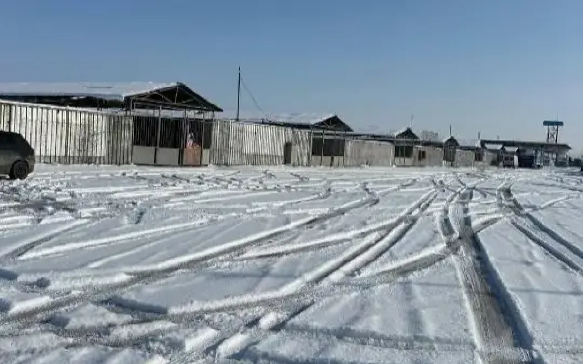 Фото: Прокуратура