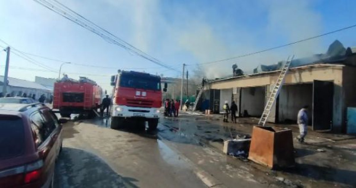 Фото: Түркістан облысы ТЖД