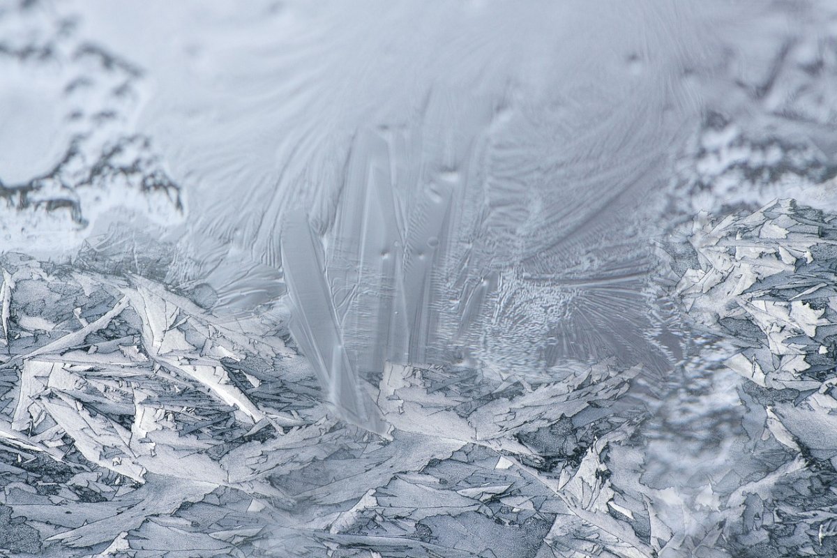 Фото: pixabay.com