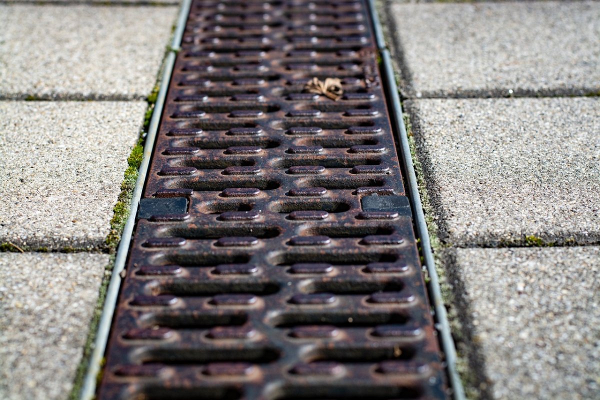 Фото: Pixabay