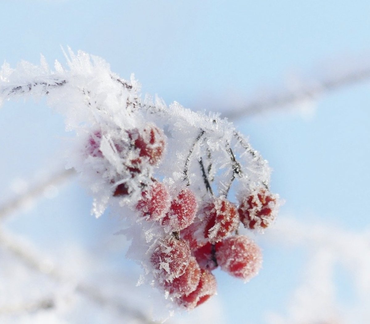Фото: Pixabay