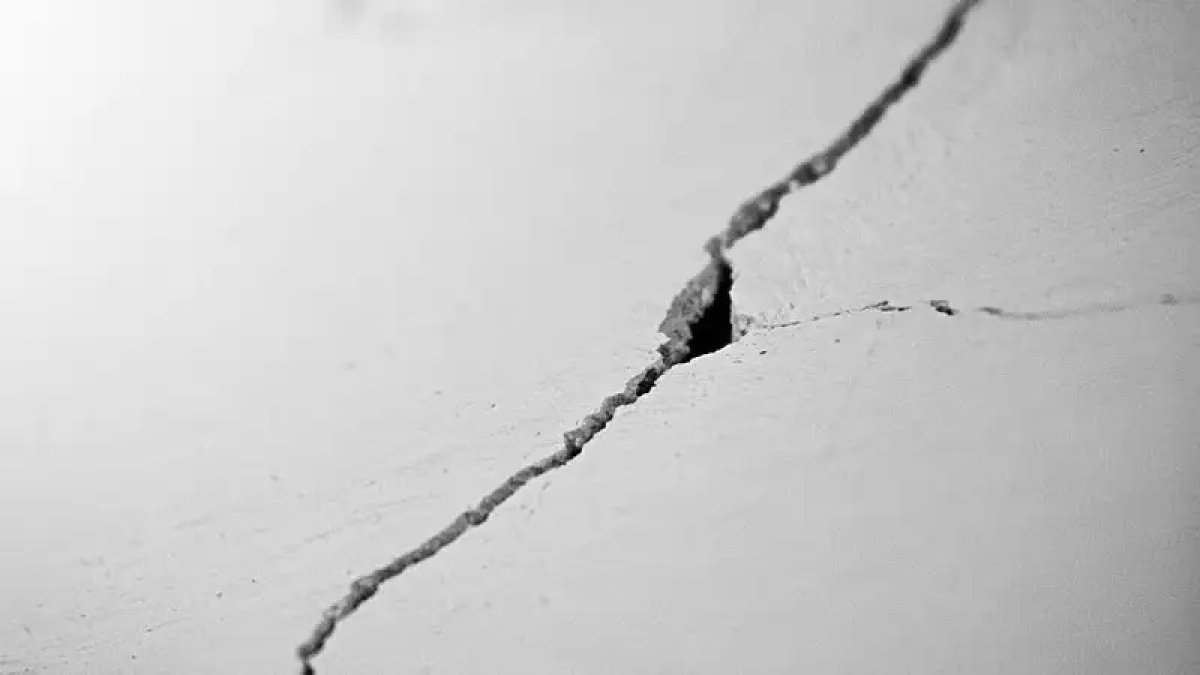 Фото: Pixabay