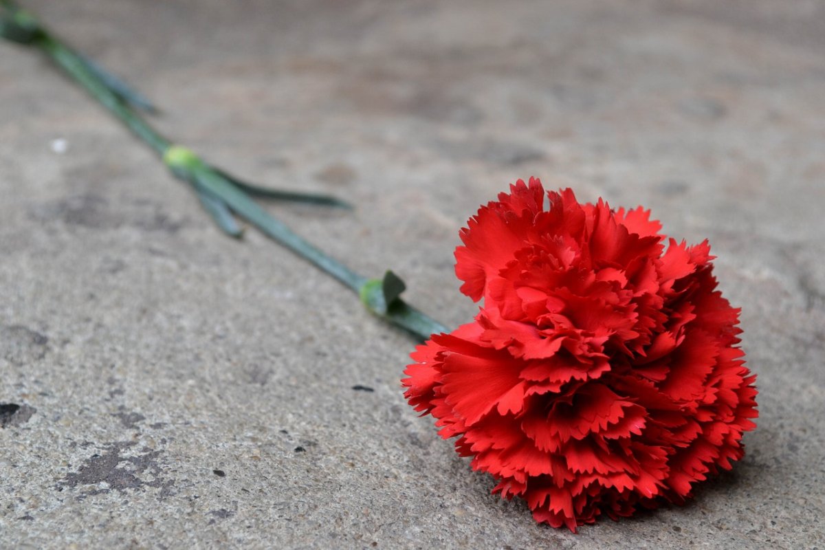 Фото: pixabay.com