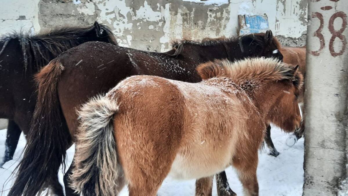 Фото: Polisia.kz