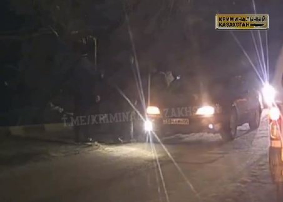 Фото: Видеодан кадр