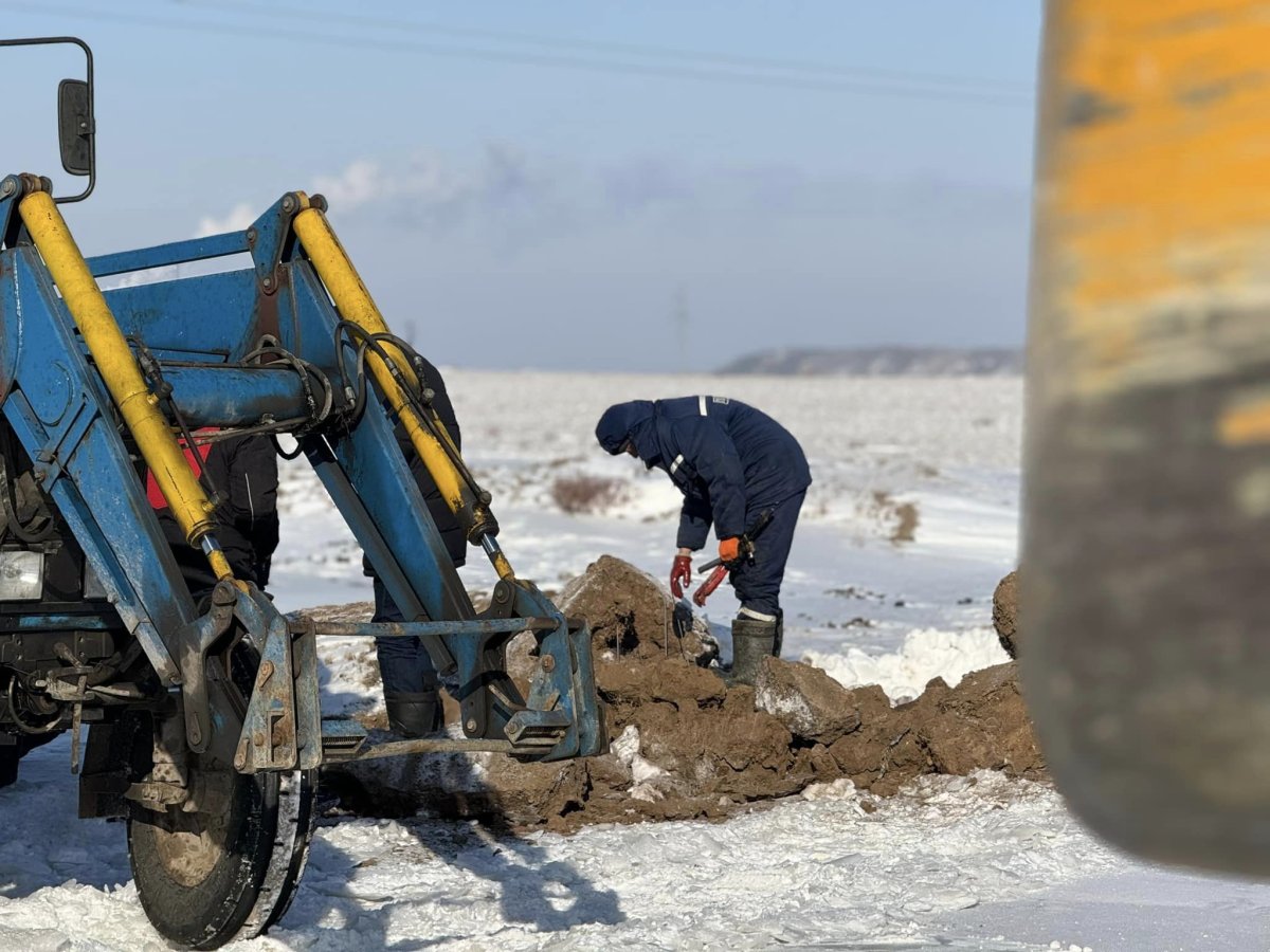 Фото: Павлодар облысы әкімінің баспасөз қызметі
