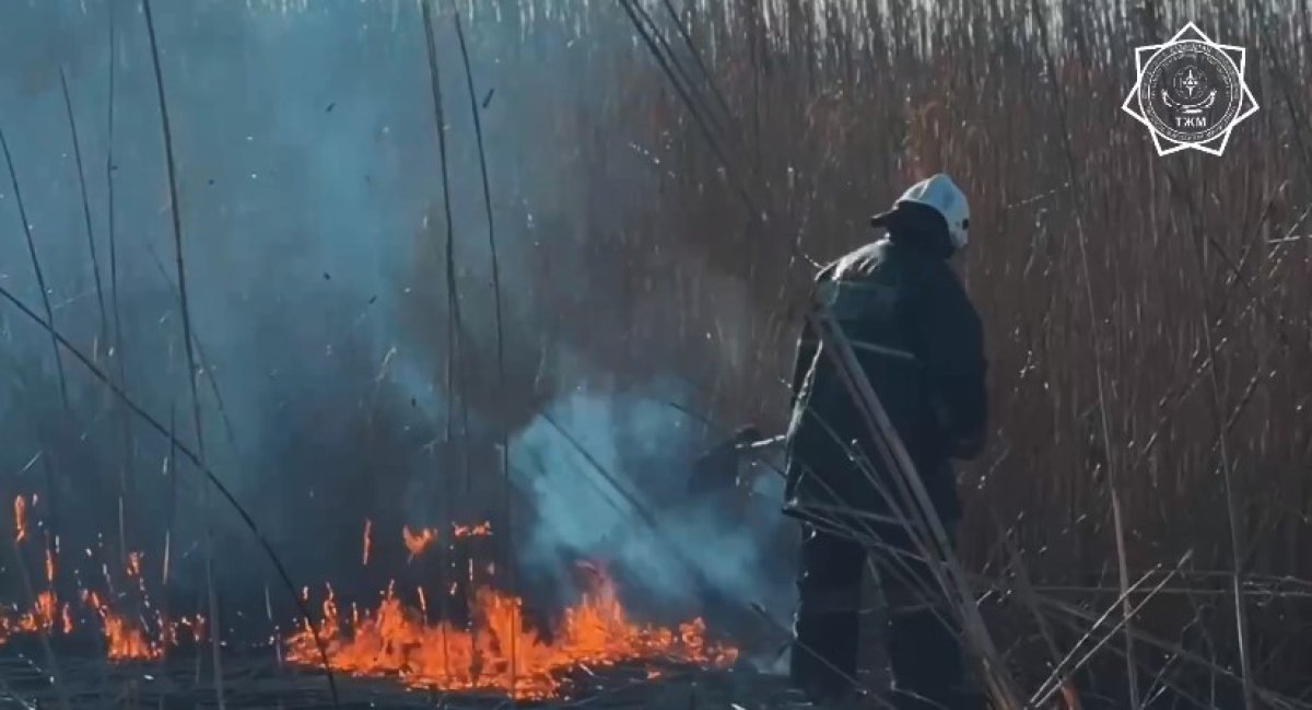 Фото: видеодан алынған кадр