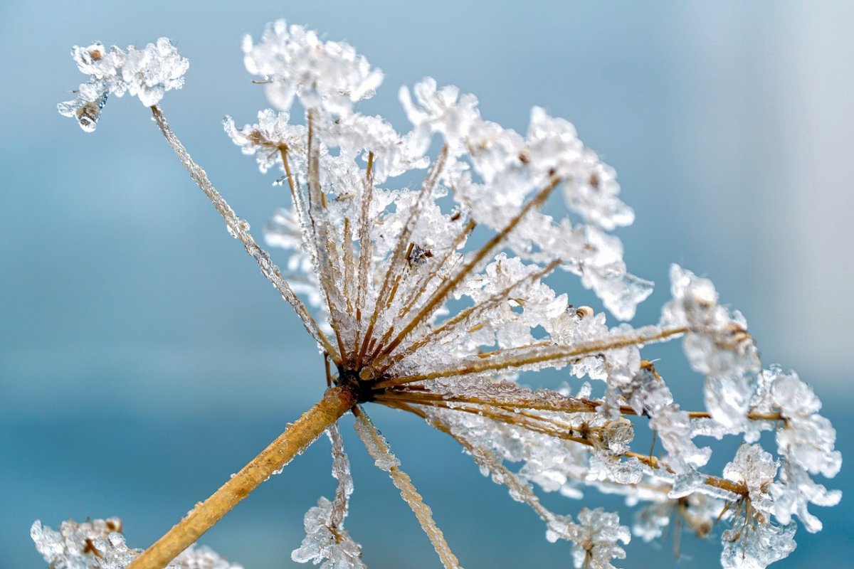 Фото: pixabay