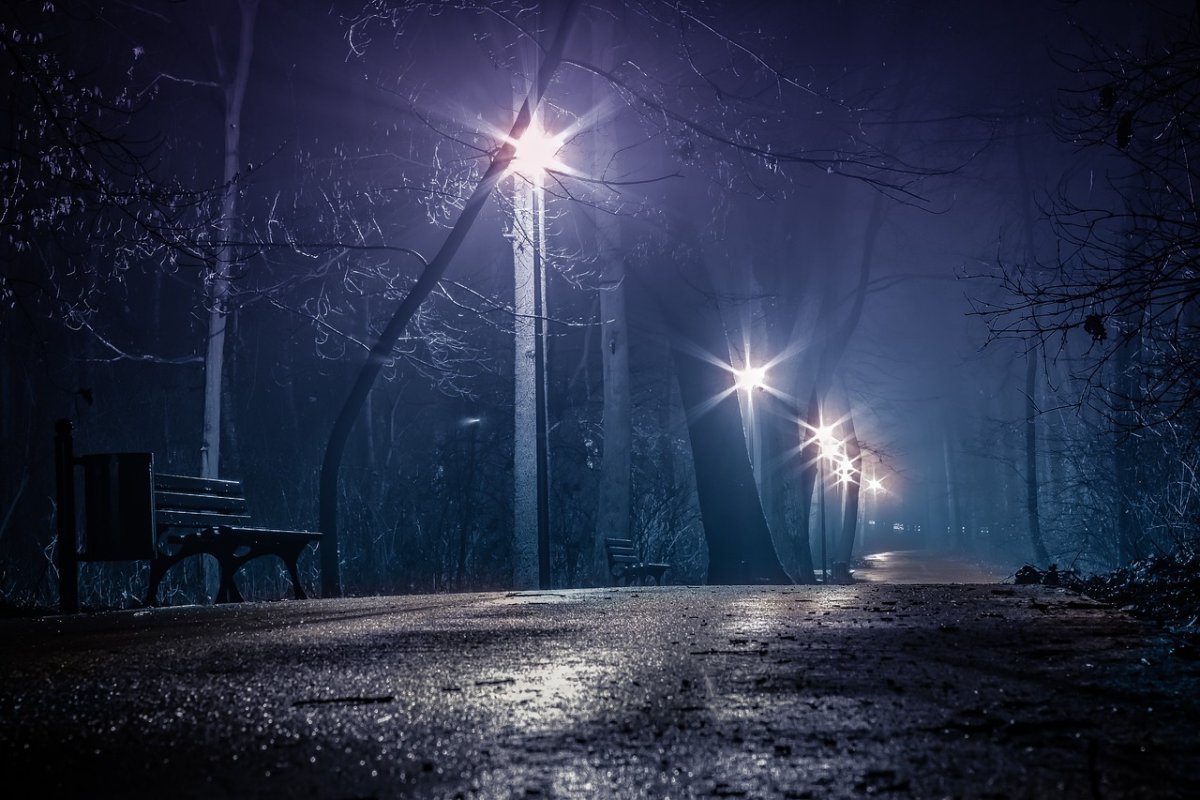 Фото: Pixabay