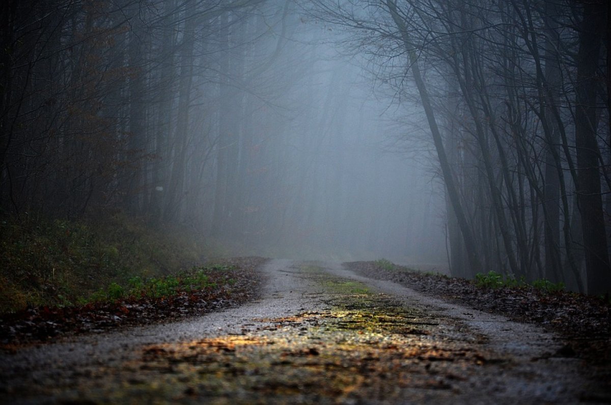Фото: Pixabay