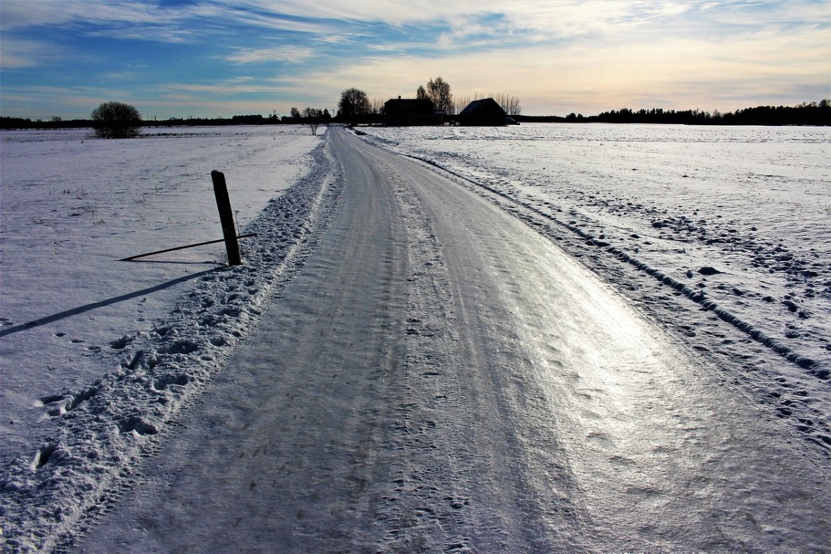 Фото: Pixabay