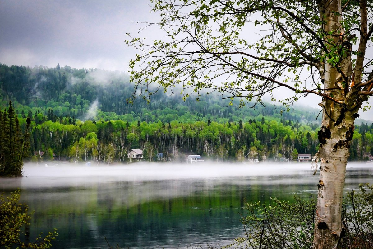 Фото: Pixabay