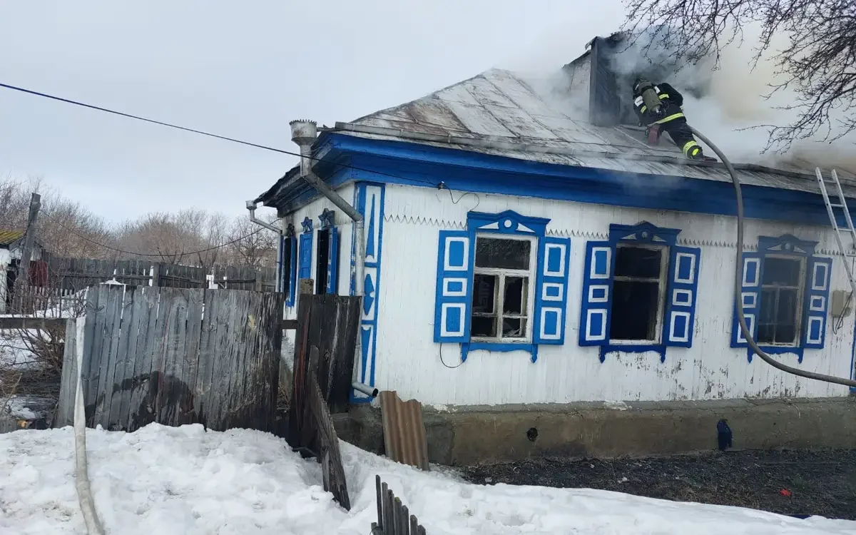 Фото: СҚО ТЖД